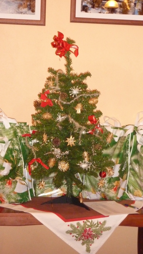 Liptovská Anna Vianoce 2013 (9)